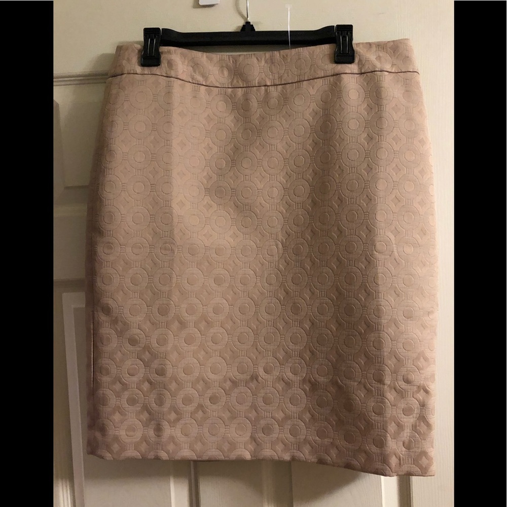 Ann Taylor skirt